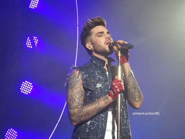 Créditos: Belgian Glamberts
