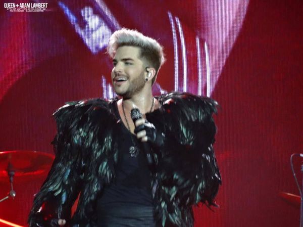 Créditos: Belgian Glamberts
