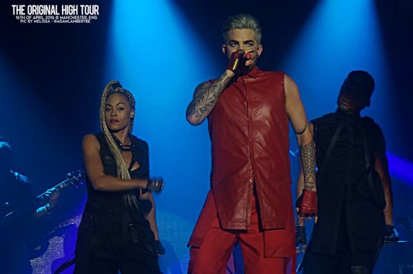 Créditos: Belgian Glamberts
