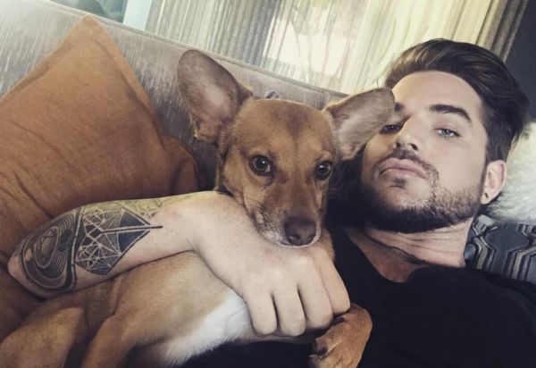 Créditos: Adam Lambert
