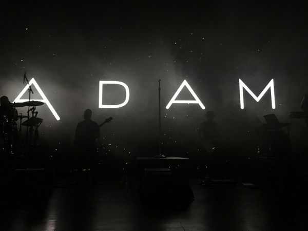 Créditos: adams_kitty17
