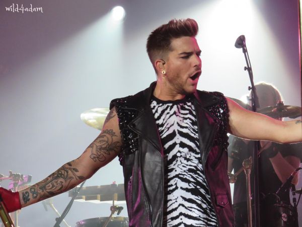 Créditos: Wild4Adam
