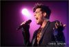 G-A-Y_AdamLambert_CJP4401.jpg