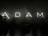adams_kitty17.jpg