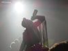 wild_282629.jpg